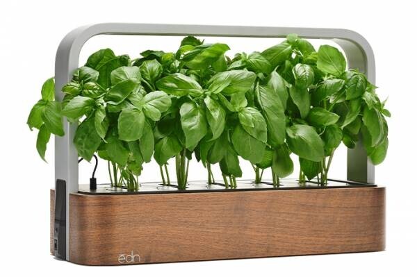 iPhoneで植物を育てる「ēdn SmallGarden」IoT スマートホームデバイス スターターキット　国内クラウドファンディングにて10/29(金)より先行発売開始