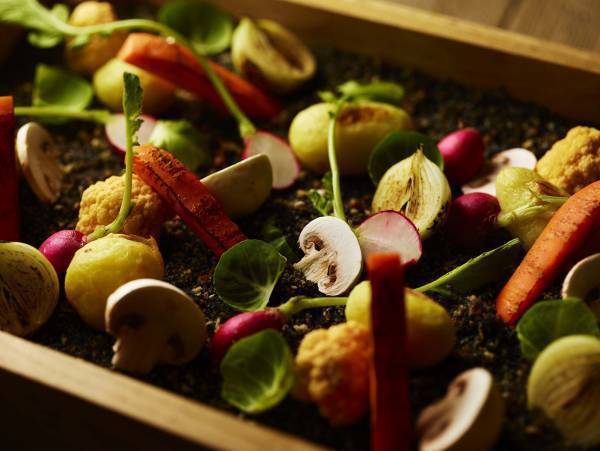 旬の味覚＆秋スイーツ大集合！ 秋の巣ごもりもリーベルホテルで