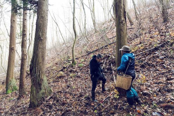 「発酵&times;フレンチ」で免疫力を高めるコース 「Nipponキュイジーヌ ～発酵～」秋メニュー提供｜期間：2021年9月11日～11月30日