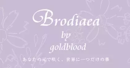 アクセサリーブランド・Brodiaea（ブローディア）HEP FIVE店舗がリニューアルオープン！