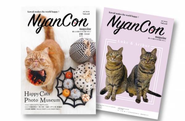 「＃ねこみんなにハッピークリスマス」猫も人も幸せになるクリスマスを