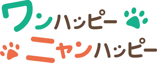 【獣医師監修】猫の便秘の原因やよく出る症状は？予防には日ごろの対策が重要