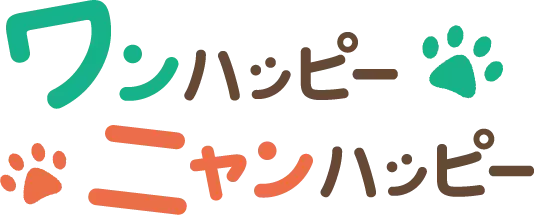 【獣医師監修】猫の便秘の原因やよく出る症状は？予防には日ごろの対策が重要