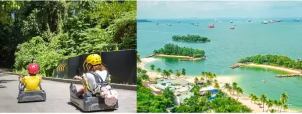 日本最大級のオンライン旅行博覧会 「オンライン旅行EXPO2021秋」にてワイキキから生中継！ 「ハワイ旅会」を11月20日（土）に出展