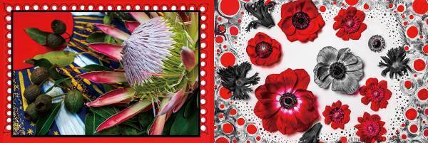 「平凡は敵だ！」天才を自称する新進気鋭のアーティストの、衝撃のデビュー作。新刊写真集『PICTURE&times;PICTURE』10月7日発売！