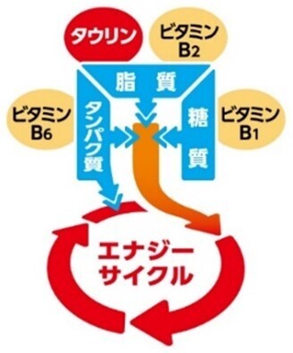 「リポビタンＤＸα」新発売！　年齢とともに感じる日々の疲れに、1日1回3錠で効く