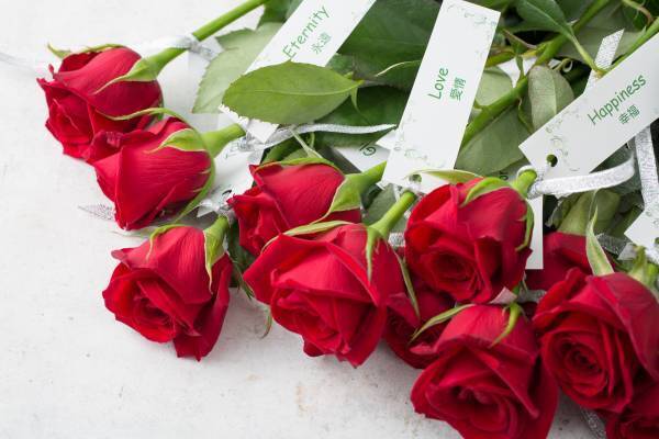 1日1組限定でチャペル貸切プロポーズ！「クリスマス限定プロポーズプラン」大宮唯一の&rdquo;恋人の聖地&rdquo;サテライトで叶えるサプライズプロポーズ