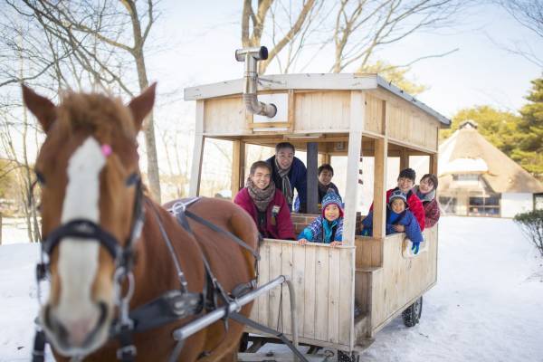 【青森屋】「のれそれ青森家族旅」のご提案～子どもと楽しめる青森文化に触れたプログラムを紹介～｜期間：2021年12月1日～2022年2月28日