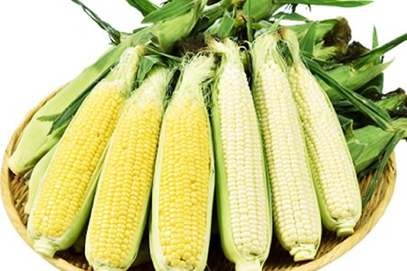 北の大地が生んだ畑のスイーツ　北海道産とうもろこしを 産地直送通販サイト「ＪＡタウン」で販売開始！