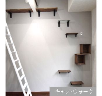 猫共生アパート「Calico(キャリコ)羽田」竣工のお知らせ