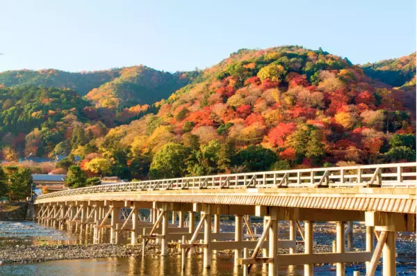 【完全予約制】京都の冬の風物詩「嵐山花灯路」が今年で有終の美、タンデム自転車レンタルが冬の嵐山観光を後押し　〜Tandem Trip〜
