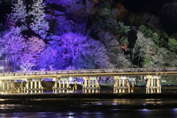 【完全予約制】京都の冬の風物詩「嵐山花灯路」が今年で有終の美、タンデム自転車レンタルが冬の嵐山観光を後押し　〜Tandem Trip〜