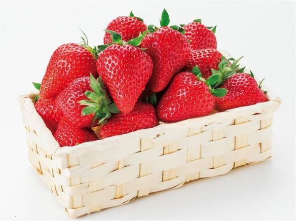 くまもとの新品種いちご「ゆうべに」、「恋みのり」が 産地直送通販サイト「ＪＡタウン」で販売開始！