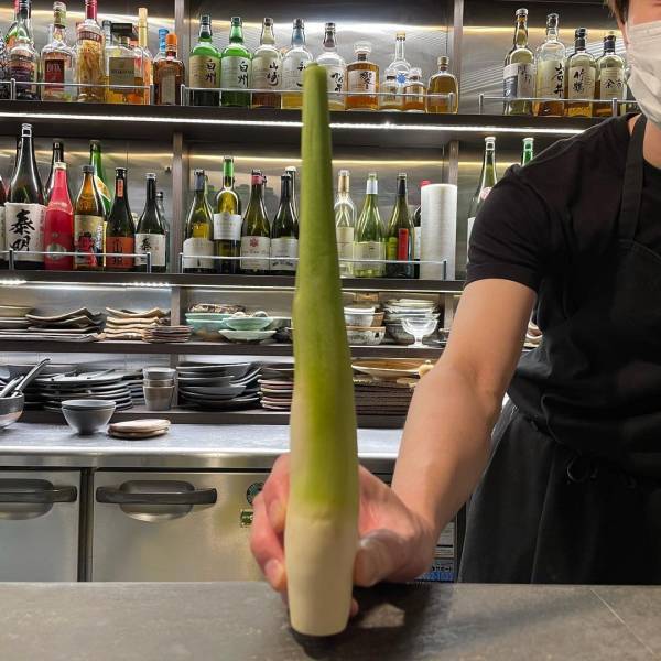 八百屋が始めたレモンパスタのお店「パスタ屋  チェヴィンチ」が中目黒にオープン！