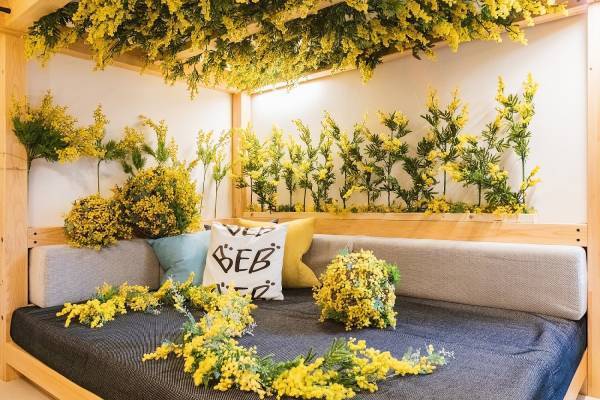 【BEB5軽井沢】花言葉は「友情」！ミモザでまるごと包まれた部屋の宿泊プランを販売｜期間:2022年3月1日～4月28日