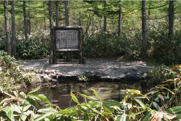 裏磐梯紅葉ロープウェイの眼下に広がる色鮮やかな紅葉が見頃