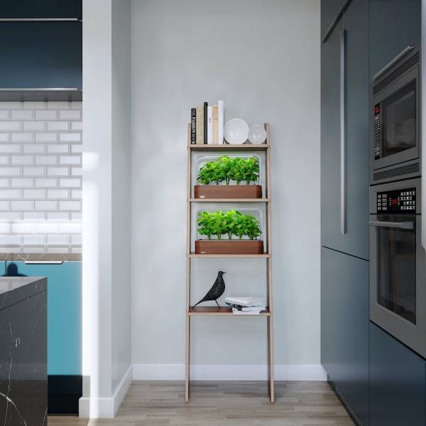 【新店舗】話題の「売らない小売」「b8ta Tokyo - Shibuya」にて、おしゃれなスマートプランター「edn Small Garden」展示開始