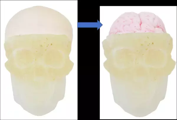 頭蓋骨、脳からオバケまで、充実のスイーツ
