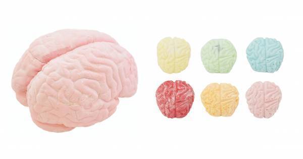 頭蓋骨、脳からオバケまで、充実のスイーツ