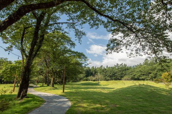 【一の坊リゾートのSDGs#2】｜自然環境を生かした23,000㎡の庭が生まれ変わりました！秋冬も「蔵王の森」で叶えるリトリートステイ