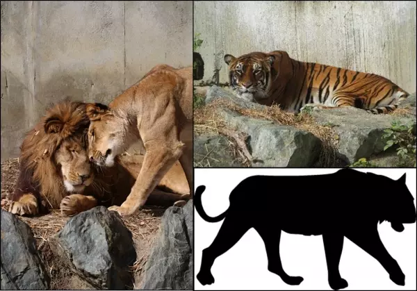 【日立市かみね動物園】『猛獣舎』リニューアルに向けて、ふるさと納税を活用したクラウドファンディング開始！動物が幸せに暮らせますように！