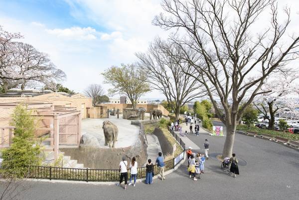 【日立市かみね動物園】『猛獣舎』リニューアルに向けて、ふるさと納税を活用したクラウドファンディング開始！動物が幸せに暮らせますように！