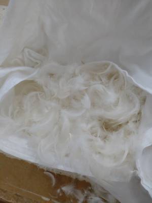 冬の寒さのなかでも安眠間違いなしの「Jumouフェザーパッド」を新発売！