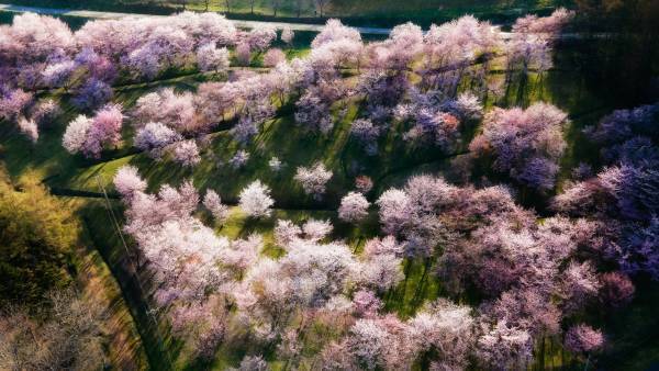 【北海道 東川町】1年半の投稿から選りすぐりの10作品を選出。 町の美しさを伝える「Visit Higashikawa 写真展」を開催