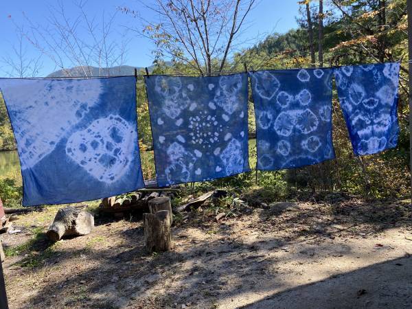 地球派宣言「森のアウトドアフェスタ」