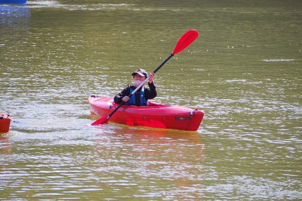 地球派宣言「森のアウトドアフェスタ」