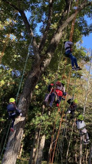 地球派宣言「森のアウトドアフェスタ」