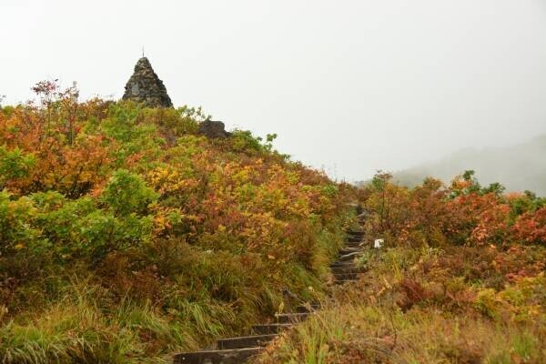 絶景 紅葉の北アルプスを一望。白馬五竜高山植物園と気軽に歩けるアルプス平自然遊歩道