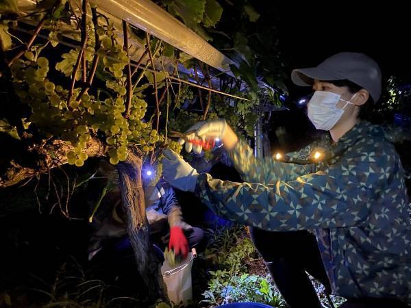 【リゾナーレ八ヶ岳】12月4日リリース　ドメーヌ ミエ・イケノ「Mie Ikeno 月香Chardonnay 2020」宿泊者限定で販売