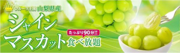 宿泊料金に990円プラスするだけ！シャインマスカット食べ放題付き宿泊プランと山梨ワインとのペアリングを楽しむ、和洋中グルメバイキング 石和温泉【ホテル新光】で9月からスタート！