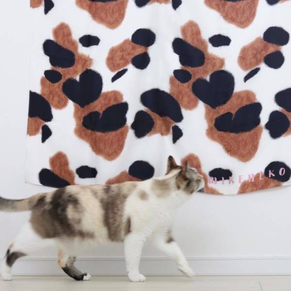 【NyanCon】史上初のSNS連動クリスマスチャリティープロジェクトを開催！