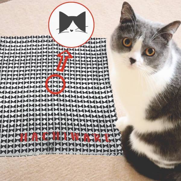 【NyanCon】史上初のSNS連動クリスマスチャリティープロジェクトを開催！