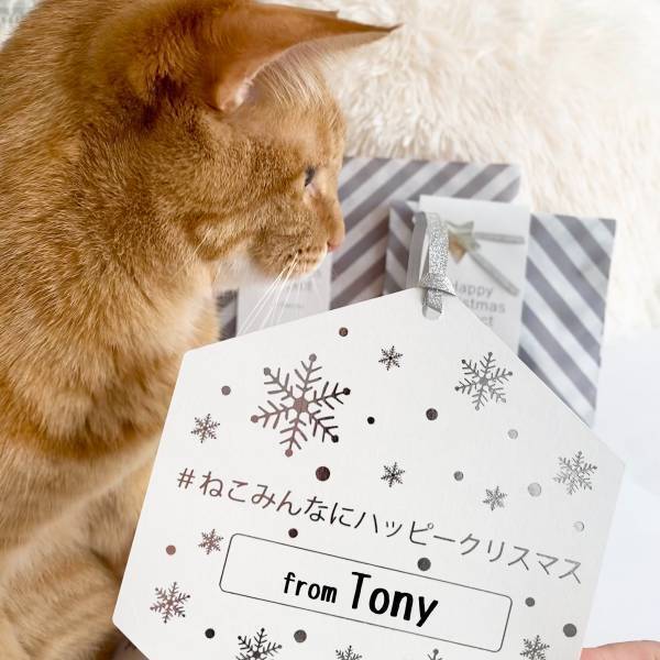 【NyanCon】史上初のSNS連動クリスマスチャリティープロジェクトを開催！