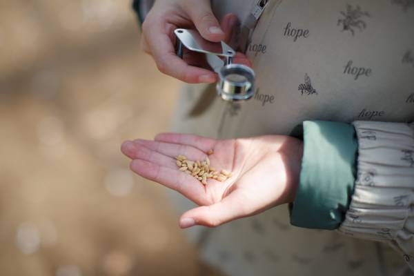 【リゾナーレ那須】～第1回「田植え」から第3回「観察」まで～「お米の学校2021」プロジェクト報告