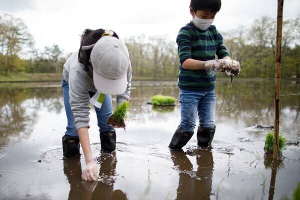 【リゾナーレ那須】～第1回「田植え」から第3回「観察」まで～「お米の学校2021」プロジェクト報告