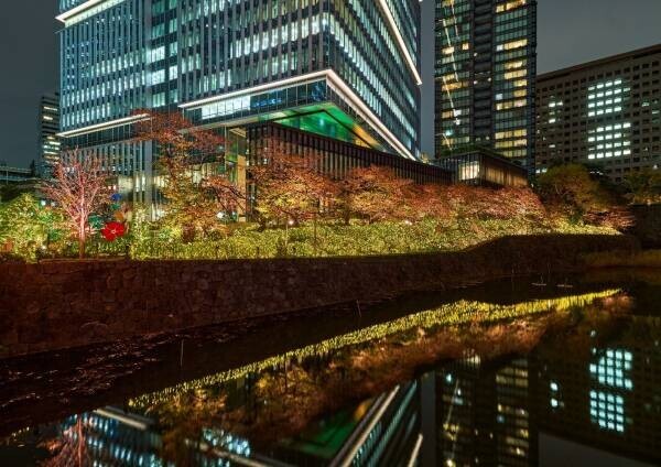 【東京ガーデンテラス紀尾井町】約40万球のシャンパンゴールドのイルミネーションや、クリスマス限定メニューも楽しめる 『KIOI WINTER 2021-2022』