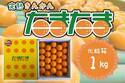 宮崎ブランドの完熟きんかん「たまたま」！ 産地直送通販サイト「ＪＡタウン」で販売開始！