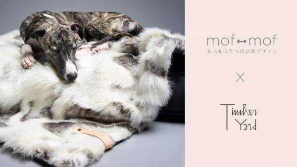 北欧デザインに特化したペット用品通販の 「mof -mof （モフモフ）」が、初のポップアップショップ開催