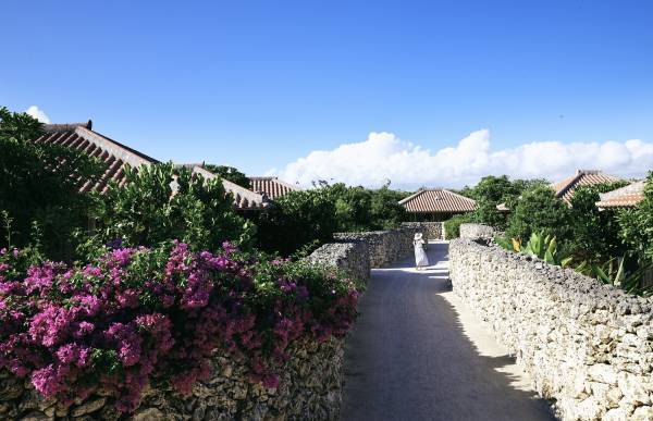 【星のや竹富島】幻の食材&ldquo;セミエビ&rdquo;を使用した新メニュー登場！冬限定のディナーコースを提供開始｜期間：2021年12月10日〜2022年3月19日