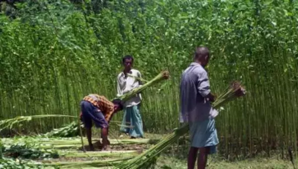 【MAKUAKE数時間で目標達成】自然素材でサスティナブル。 フェアトレードでエシカル。 SDGsに配慮したヨーロッパで大人気モデルのバックパックが この度「Makuake」にて12月27日日本初上陸