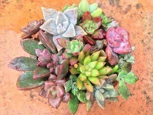 【12/17より開催】『オンライン駒沢ファンタジア2021』　昨年度好評のオンラインスタンプラリー、キャンドルイベントも