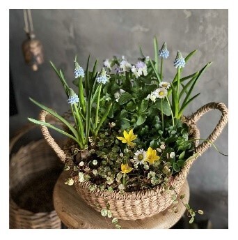 【12/17より開催】『オンライン駒沢ファンタジア2021』　昨年度好評のオンラインスタンプラリー、キャンドルイベントも