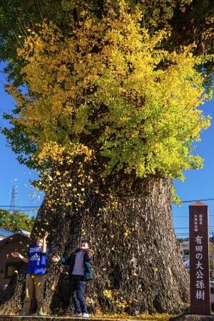 第17回 秋の有田陶磁器まつり開催　～今年は特別に10月からスタートします～