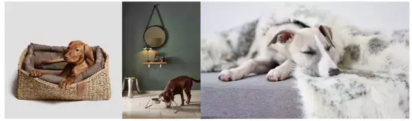 【New Open】北欧デザインのペット用品ショップ 「mof -mof （モフモフ）」楽天市場店オープン