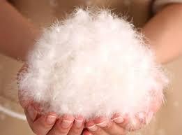 大人気「リボンウォーマー」の黒猫バージョンを新発売！