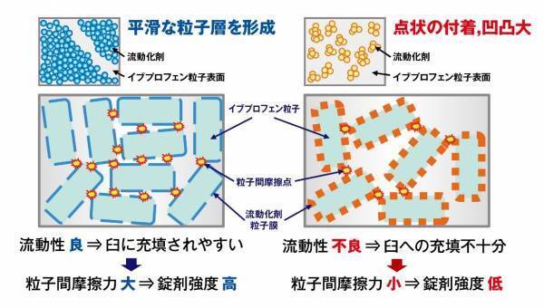 「錠剤の小型化を実現するコンパクタブ技術に関する新たな知見」について 学会発表